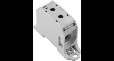 Weidmüller 2503090000 Doorgangsklem 25.50 mm Schroeven Grijs 2 stuk(s)