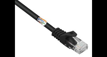 Renkforce RF-5043852 RJ45 Netwerkkabel, patchkabel CAT 5e U/UTP 0.25 m Zwart Snagless 1 stuk(s)