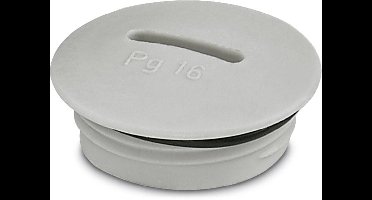 Phoenix Contact 1424523 A-INSP-PG16-65N-P-LG N/A PG16 PA 10 stuk(s)