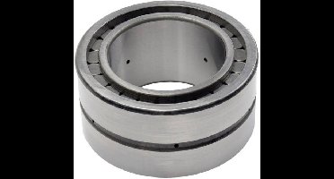 INA SL045013-PP Cilinderlager Boordiameter 65 mm Buitendiameter 100 Toerental (max.) 1600 omw/min