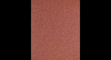 PFERD TOOLS 45013012 Handschuurpapier Korrelgrootte (num) 120 (l x b) 280 mm x 230 mm 50 stuk(s)