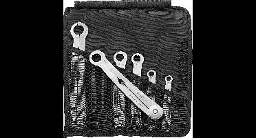 Stahlwille 96411006 240/6 Enkelvoudige ringsleutelset met ratel 6-delig Sleutelbreedte (metrisch) 8 - 19 mm