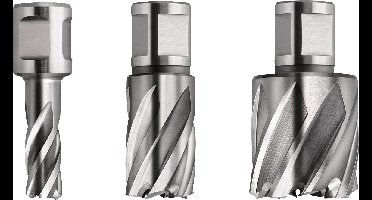 Fein 63134170301 Kernboor 17 mm 1 stuk(s)