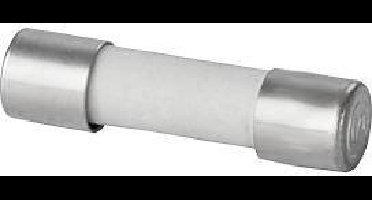 Weidmüller 0430700000 G 20/1.00A/F Buiszekering Inhoud 10 stuk(s)