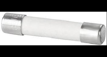 Weidmüller 0192700000 G 25/2.00A/F BL Buiszekering Inhoud 10 stuk(s)