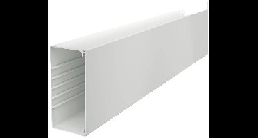 OBO Bettermann 6027229 Kabelgoot (l x b x h) 2000 x 170 x 80 mm Lichtgrijs 4 stuk(s)