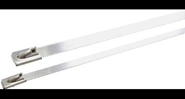 WKK ART005725 EDELSTAHL(304) 200x4,6mm RVS-kabelbinder 200 mm 4.60 mm Staal 1 stuk(s)