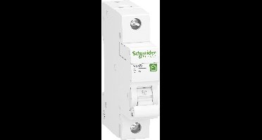 Schneider Electric R9F23110 Zekeringautomaat 1-fasig 10 A 230 V