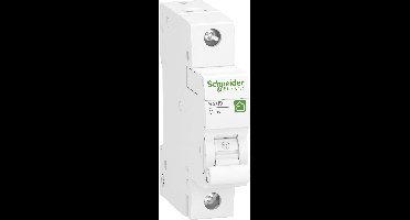 Schneider Electric R9F24140 Zekeringautomaat 40 A 230 V