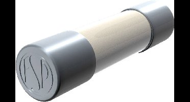 Püschel Feinsicherungen FST2,5A FST2,5A Buiszekering (Ø x l) 5 mm x 20 mm 2.50 A 250 V Traag -T- Inhoud 10 stuk(s)