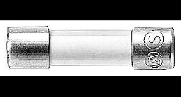 Siemens 8WA18227EF85 8WA1822-7EF85 Buiszekering (Ø x l) 5 mm x 20 mm 6.3 A 250 V/AC Traag -T- Inhoud 10 stuk(s)