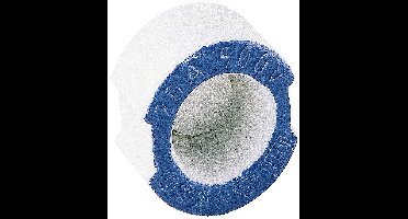 Siemens 5SH315 Passchroef Afmeting zekering: DII 20 A 25 stuk(s)