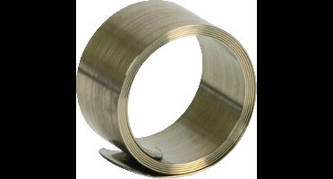 DEHN SA KRF 10 V2A Contactveer (constant force spring) 1 stuk(s)