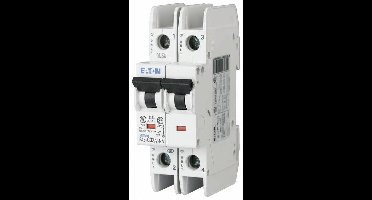 Eaton 102187 FAZ-D10/2-NA Zekeringautomaat 10 A 415 V/AC