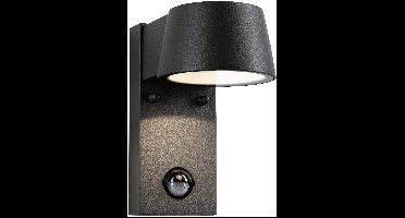 Paulmann Capea 94453 LED-buitenlamp met bewegingsmelder (wand) LED 6 W Grijs
