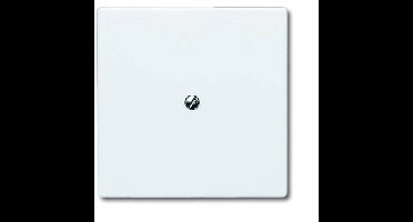 ABB 2138-34 Blindafdekking Afdekking Wit, Zuiver wit (RAL 9010) 1 stuk(s)