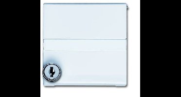 Busch-Jaeger 2CKA001710A3793 Wandontactdoos met klapdeksel, Wandcontactdoos met randaarde afsluitbaar Afdekking Allweather 44 (IP44) Crème-wit, Zuiver wit (RAL