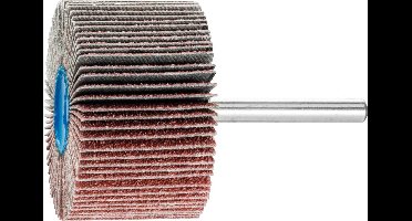 PFERD TOOLS 44503066 Lamellenslijper Diameter 50 mm 10 stuk(s)