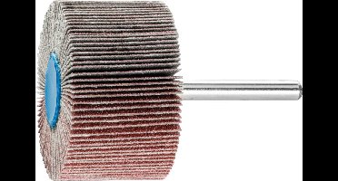 PFERD TOOLS 44503126 Lamellenslijper Diameter 50 mm 10 stuk(s)