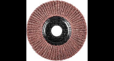 PFERD TOOLS 44692267 Polinox vliesslijpschijf PNZ Ø 125 mm asgat-Ø 22,23 mm A 180 voor fijnslijpen & finish 125 mm 5 stuk(s)