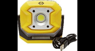 C.K Bouwlamp 10 W 700 lm