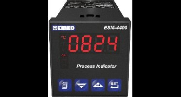 Emko ESM-4400.2.20.2.1/00.00/0.0.0.0 Procesweergave