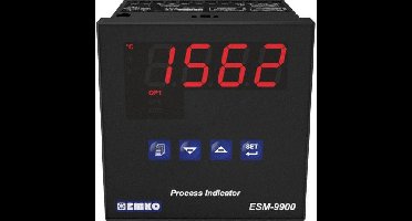 Emko ESM-9900.1.20.2.1/00.00/0.0.0.0 Procesweergave