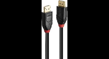 LINDY 41169 DisplayPort-kabel DisplayPort Aansluitkabel DisplayPort-stekker, DisplayPort-stekker 10.00 m Zwart Vergulde steekcontacten