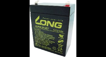Long WP2.9-12 Loodaccu 12 V 2.9 Ah Loodvlies (AGM) (b x h x d) 79 x 107 x 56 mm Kabelschoen 4.8 mm Geringe zelfontlading, Onderhoudsvrij