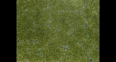 NOCH 07252 Bodembedekker Landschap bouw Donkergroen