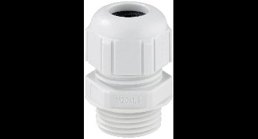 Spelsberg 24742101 Wartel Slagvast, Met trekontlasting M20 Kunststof Lichtgrijs 1 stuk(s)