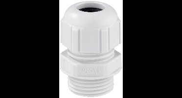 Spelsberg 24842001 Slagvast, Met trekontlasting M20 Kunststof Lichtgrijs 1 stuk(s)