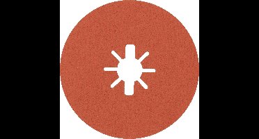 Bosch Accessories 2608621810 Fiberschijf Diameter 125 mm Korrelgrootte (num)=80 5 stuk(s)