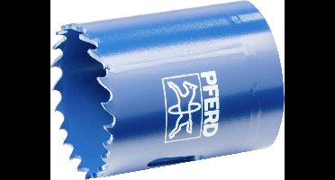 PFERD TOOLS LS 41 41 mm 1 5/8 25101241 Gatenzaag 41 mm 1 stuk(s)