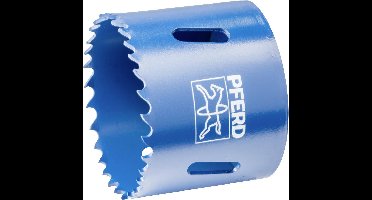 PFERD TOOLS LS 52 52 mm 2 1/16 25101552 Gatenzaag 52 mm 1 stuk(s)
