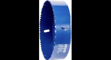 PFERD TOOLS LS 160 160 mm 6 5/16 25103010 Gatenzaag 160 mm 1 stuk(s)