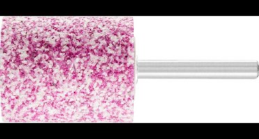 PFERD TOOLS 31137252 Schuurpen Diameter 32 mm 5 stuk(s)