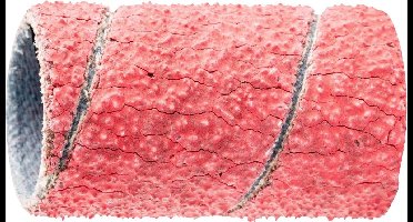 PFERD TOOLS GSB 1530 CO-COOL 60 42206305 Schuurhuls Korrelgrootte (num) 60 (Ø x h) 15 mm x 30 mm 100 stuk(s)