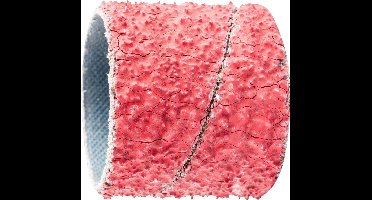 PFERD TOOLS GSB 3030 CO-COOL 36 42209302 Schuurhuls Korrelgrootte (num) 36 (Ø x h) 30 mm x 30 mm 100 stuk(s)