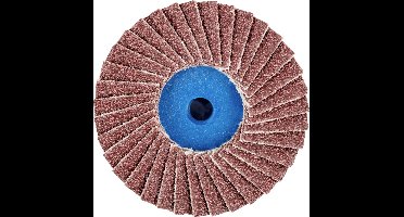 PFERD TOOLS 42719106 CD PFF 50 A 60 Lamellenschijf Diameter 50 mm Korrelgrootte (num) 60 Brons, Titanium, Titaniumlegering, Koper, Messing, RVS, Grijs/grauw