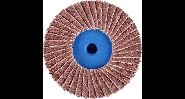 PFERD TOOLS 42719108 CD PFF 50 A 80 Lamellenschijf Diameter 50 mm Korrelgrootte (num) 80 Brons, Titanium, Titaniumlegering, Koper, Messing, RVS, Grijs/grauw