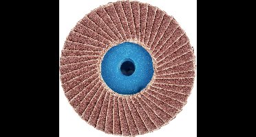 PFERD TOOLS 42719112 CD PFF 50 A 120 Lamellenschijf Diameter 50 mm Korrelgrootte (num) 120 Brons, Titanium, Titaniumlegering, Koper, Messing, RVS, Grijs/grauw