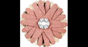 PFERD TOOLS 42732069 Schuurster Diameter 50 mm 10 stuk(s)