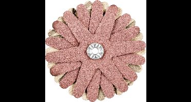 PFERD TOOLS 42732108 Schuursterren Diameter 70 mm 10 stuk(s)