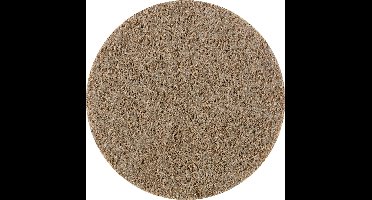 PFERD TOOLS PVKR 180 A 100 G 42871606 Schuurpapier voor schuurschijf Korrelgrootte (num) 100 (Ø) 180 mm 10 stuk(s)