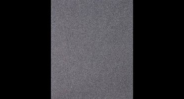 PFERD TOOLS BP W 230x280 SiC 220 45015022 Handschuurpapier Korrelgrootte (num) 220 (l x b) 280 mm x 230 mm 50 stuk(s)