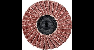 PFERD TOOLS 47202527 CDR PFF 50 A 40 Lamellenschijf Diameter 50 mm Brons, Titanium, Titaniumlegering, Koper, Messing, RVS, Grijs/grauw sferoïdisch gietijzer,