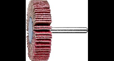 PFERD TOOLS 47802872 Lamellenschijf Diameter 60 mm 10 stuk(s)