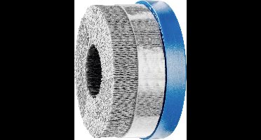 PFERD TOOLS Schotelborstel DBUR 100/22,2 SiC 120 1,10 79184130 1 stuk(s)