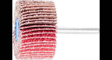 PFERD TOOLS 44411554 Lamellenslijper Diameter 50 mm 10 stuk(s)